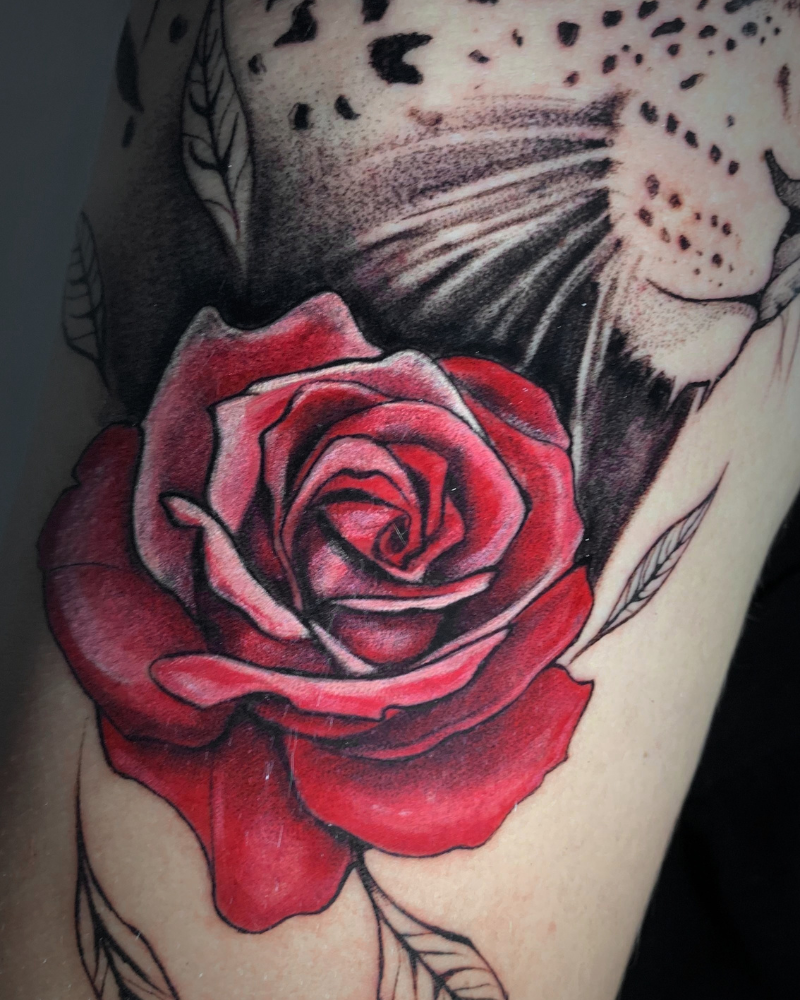 Tattoo profissional em Brasília e Anápolis